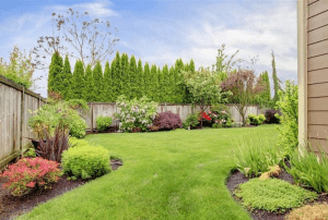 Garden care 4