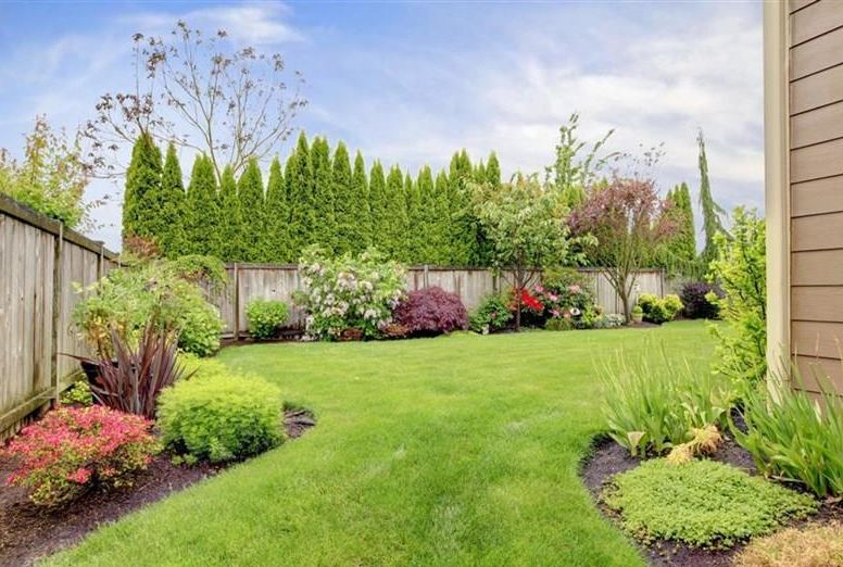 Garden care 4
